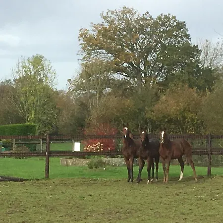 La Bretonniere Frühstückspension