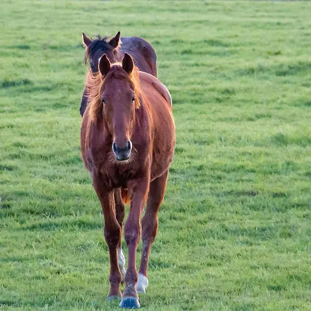 La Bretonniere Bed & Breakfast 3*