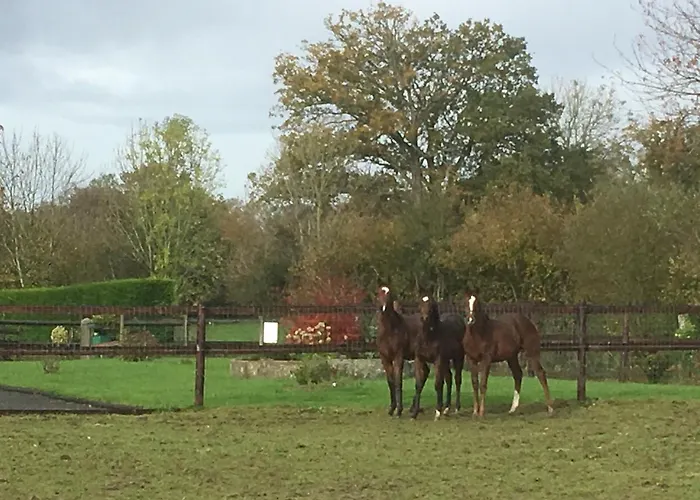 La Bretonniere Couette-café
