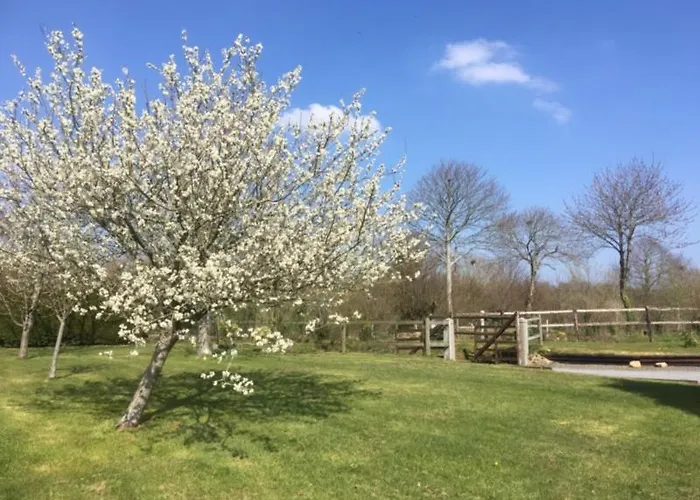 Couette-café La Bretonniere 3*