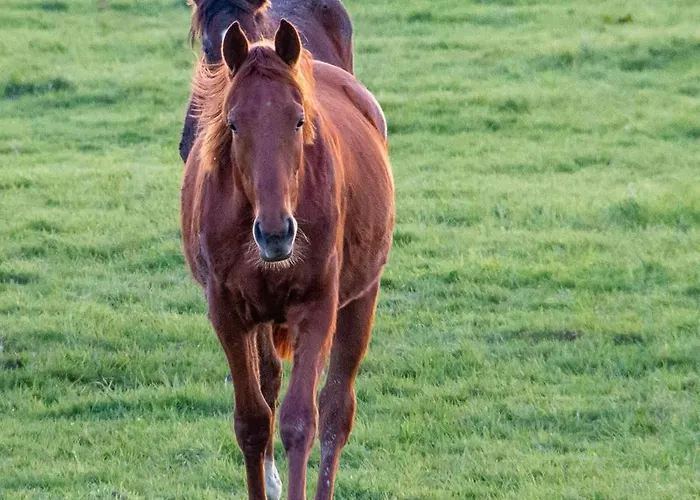 La Bretonniere B&B 3*