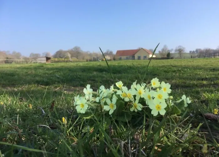 Couette-café La Bretonniere Dragey-Ronthon
